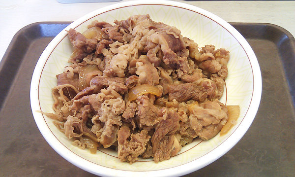すき家の牛丼「中盛」