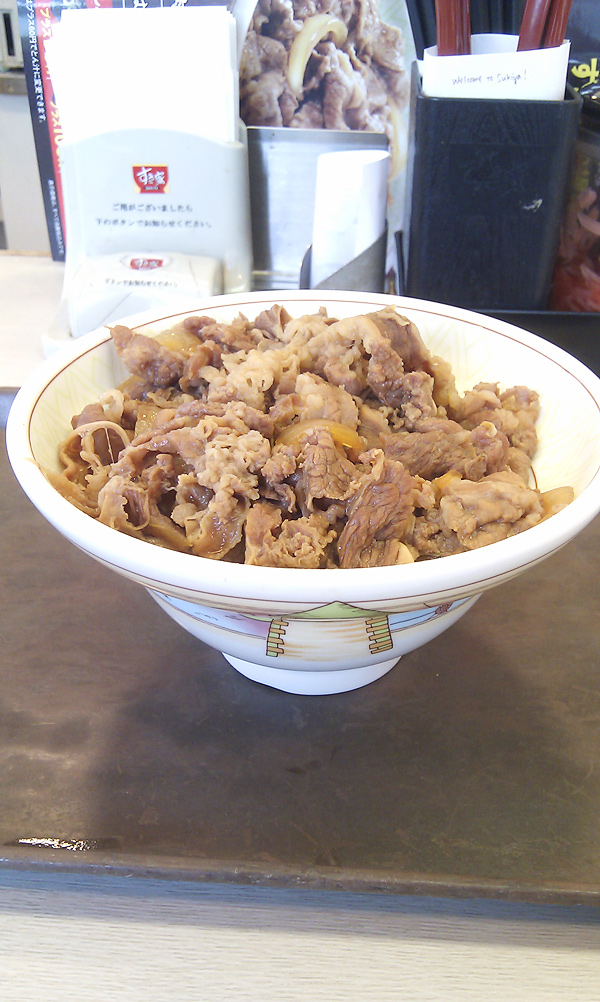 すき家の牛丼「中盛」